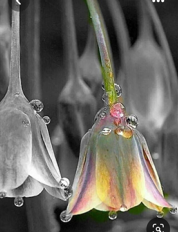 Screenshot_20230427_001129_Pinterest