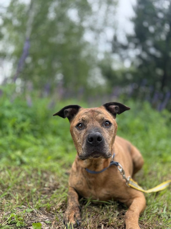 WhatsApp Image 2025-06-20 at 00.21.23 (1)