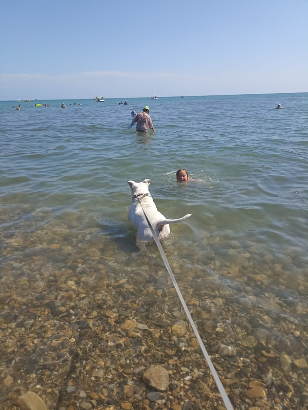 24FBA68E-0C90-46F9-8383-8BB4D0E14F8F