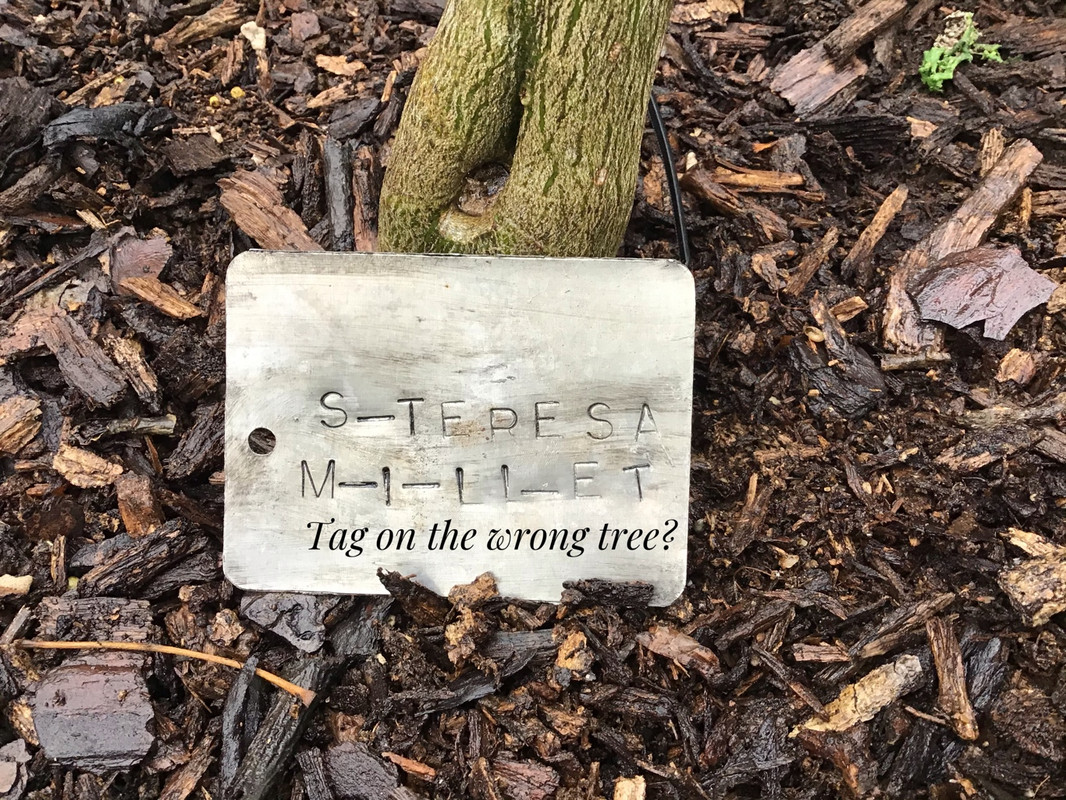 EED0FB1E-5A32-440D-8BAA-E41A2C950212