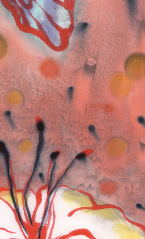 Acid dye painting on silk detail