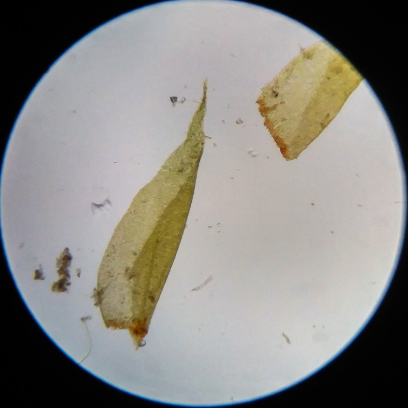 IMG 20250617 111548 HDR