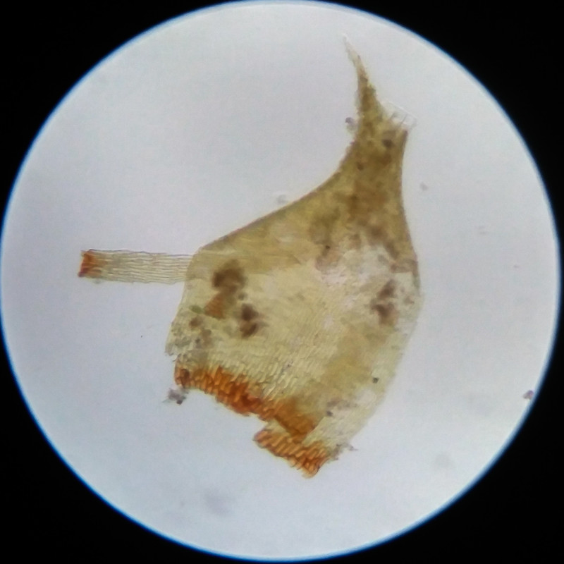 IMG 20250617 111409 HDR