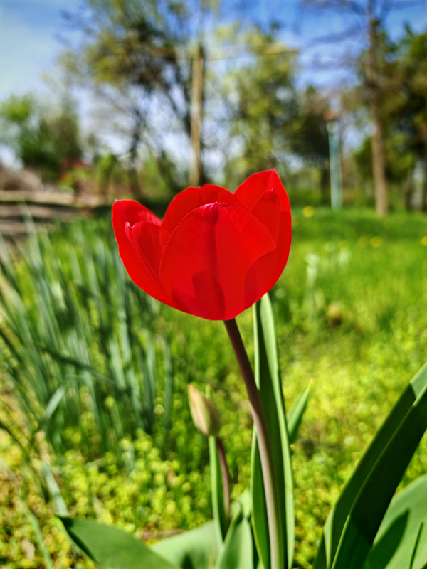 IMG_20240406_120051