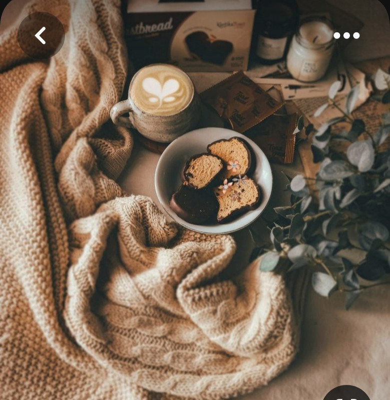 Screenshot_20230616_141200_Pinterest