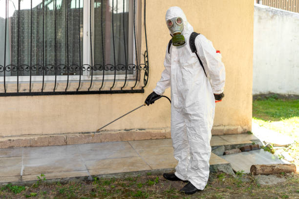 Pest-control-(27).jpg