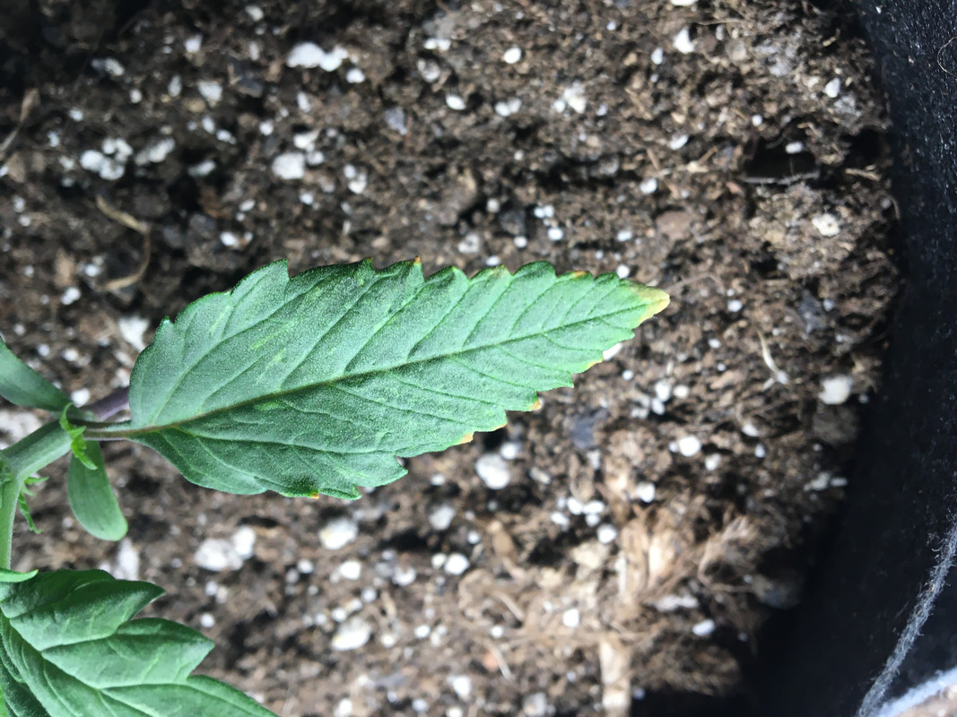 C54E66CB-0025-4C45-85EB-22953874A2B6