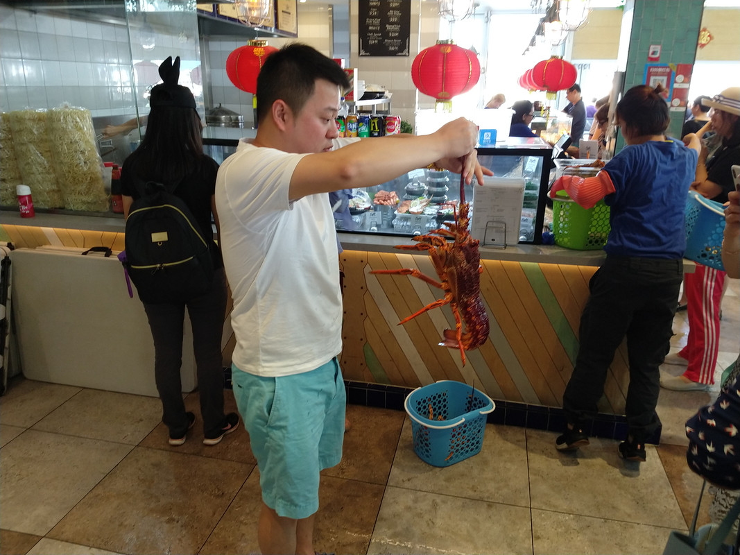 AUSTRALIA , "QUE GRAN PAIS" - Blogs de Australia - SYDNEY (3)