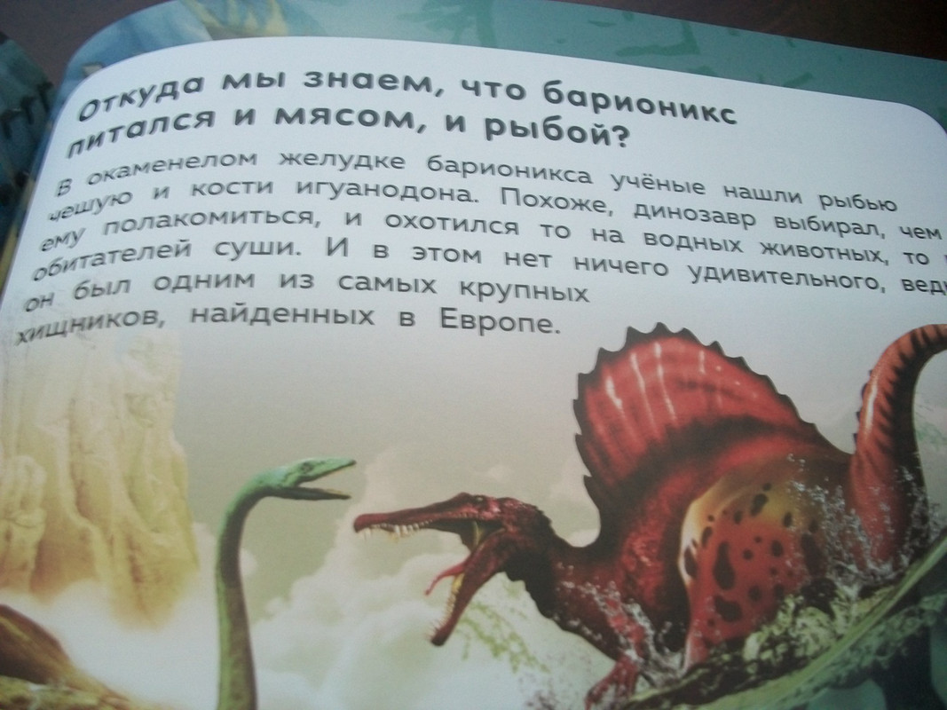100_7549