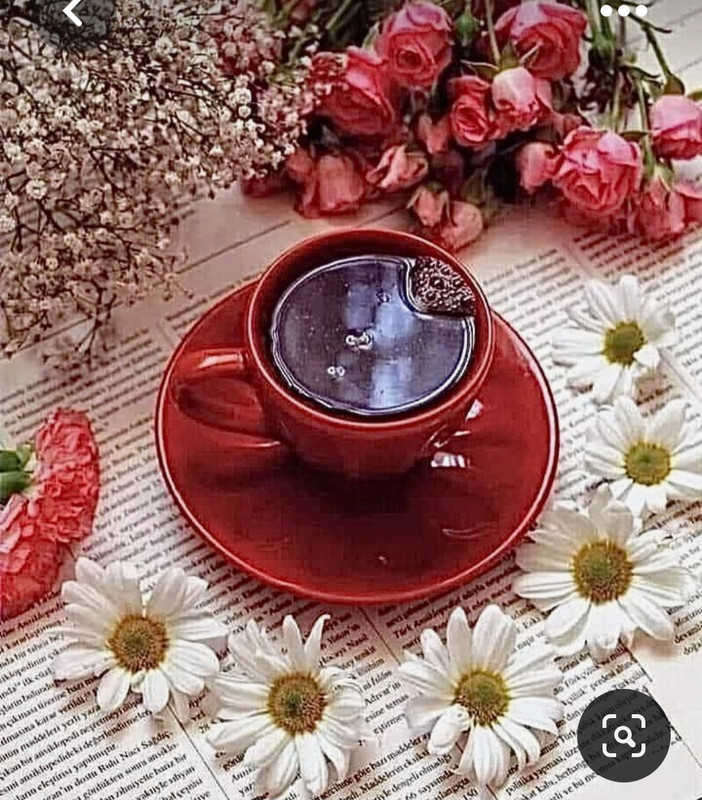 Screenshot_20230603_222303_Pinterest