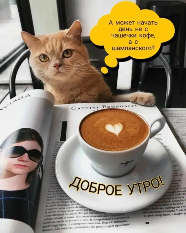 ,,.gi p   if (2).w 5