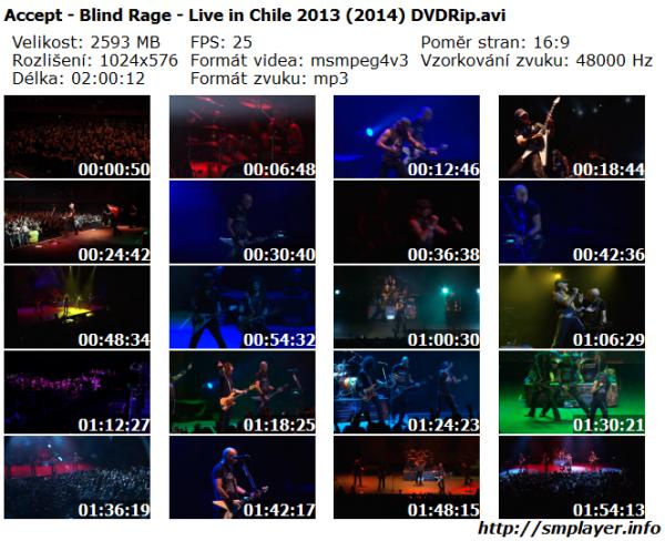 Accept - Blind Rage - Live in Chile 2013 (2014)
