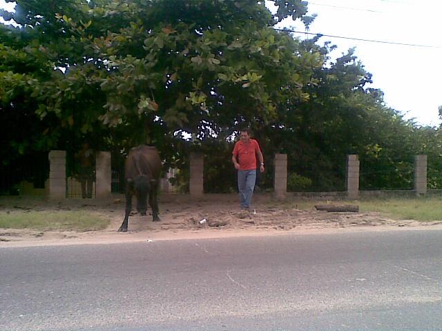 538935_4505533319164_191570331_n