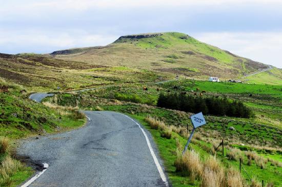 single-track-road-to.jpg