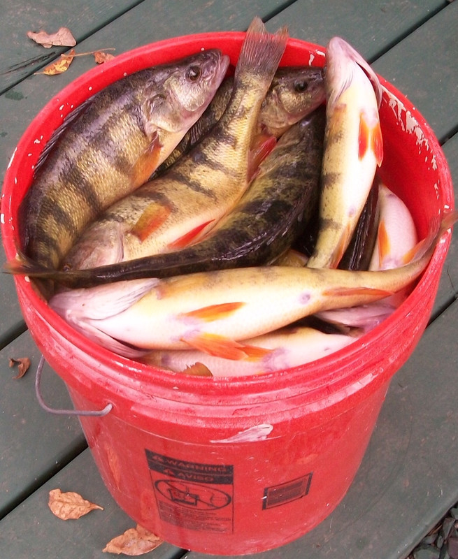 1D214BFE-3BE1-4A91-B9FB-453ACA6AF86D