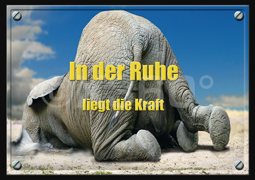 [Bild: Bild-2025-06-30-140621294.png]