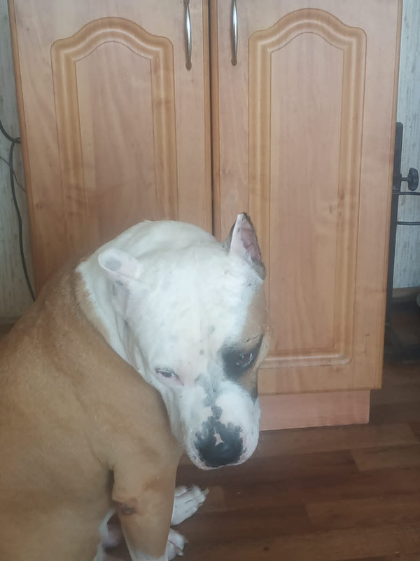 7FA42347-69E7-4CA4-A7A4-8859788DEE1E