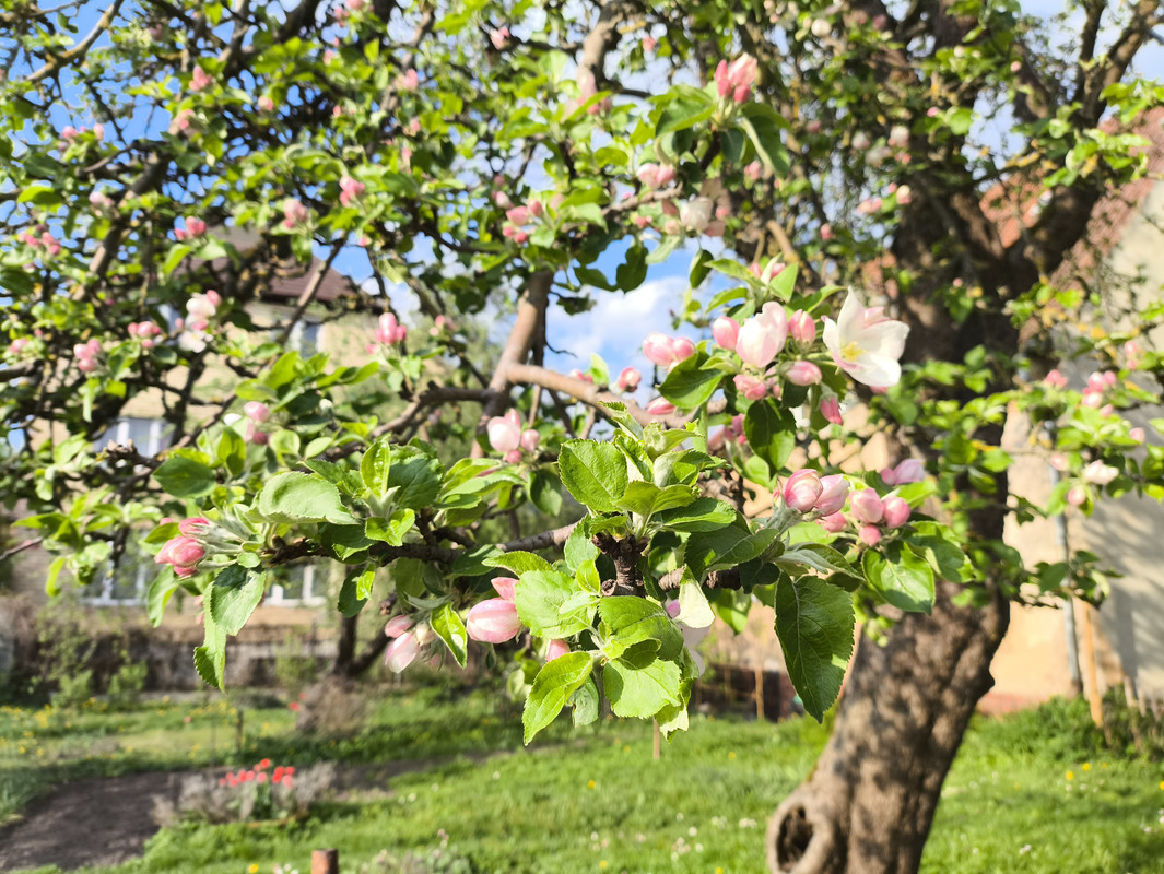 20 апреля 2025 018