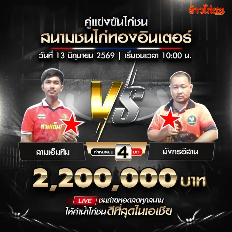 สามเอ็มทีม vs มังกรอีสาน สนามชนไก่ทองอินเตอร์ 13 มิถุนายน 2569