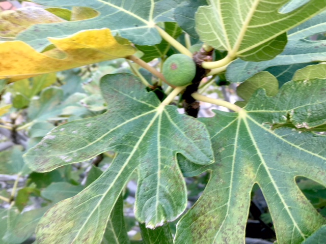 02531068-A20B-4367-BE0B-1439B5E2538E