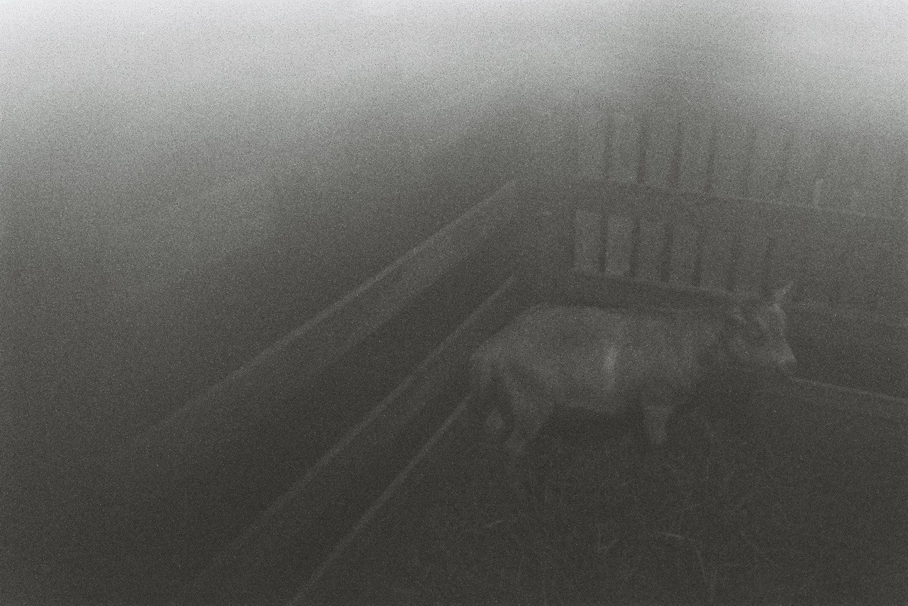 Kentmere-Nov2025-35-resized