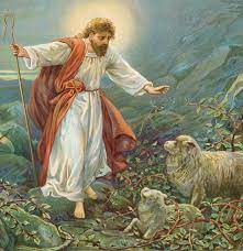 images_(6)