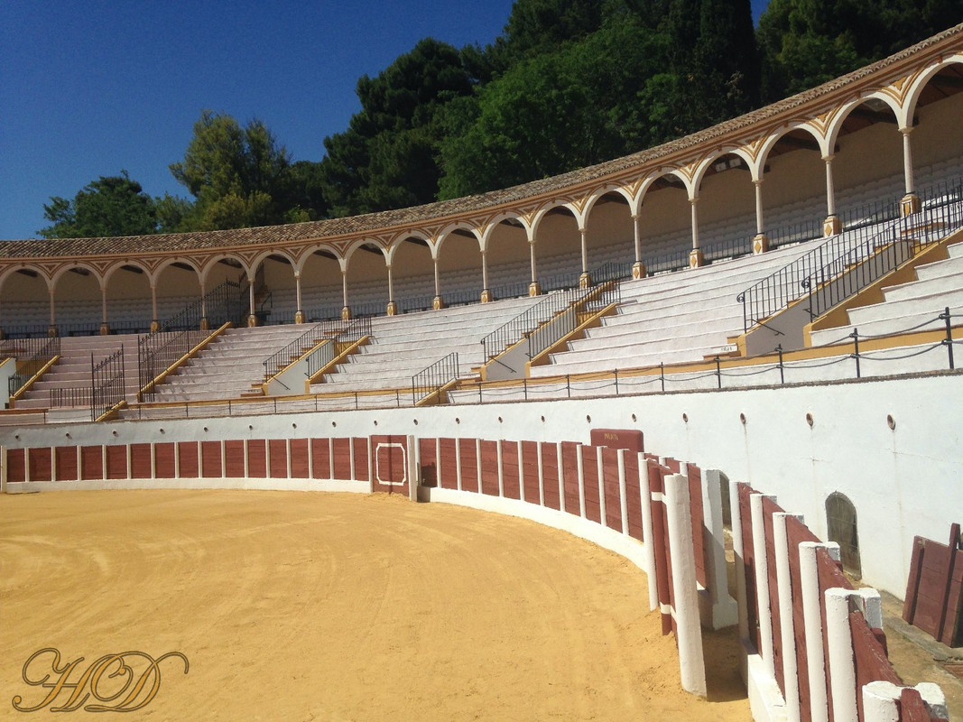 bull-ring-malaga-region.jpg
