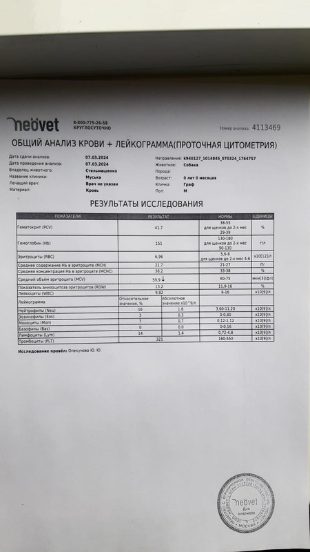 IMG-20240315-WA0003