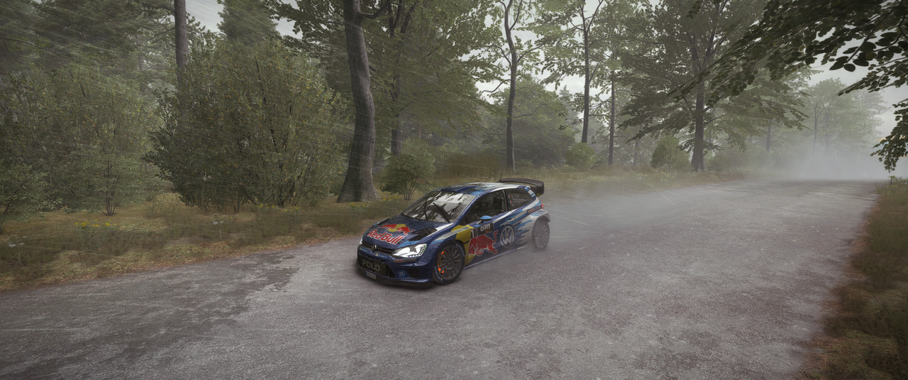 Di-RT-Rally-2022-03-06-21-47-3.png