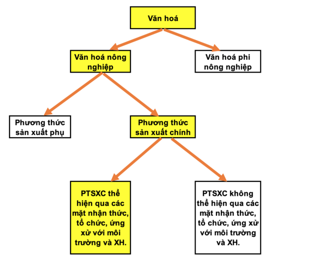 Sơ đồ hệ thống