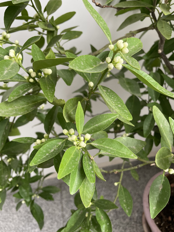 454D0113-3603-4791-8B15-9F6E9F8D508B