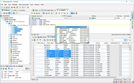 DbVisualizer Pro 13.0.6