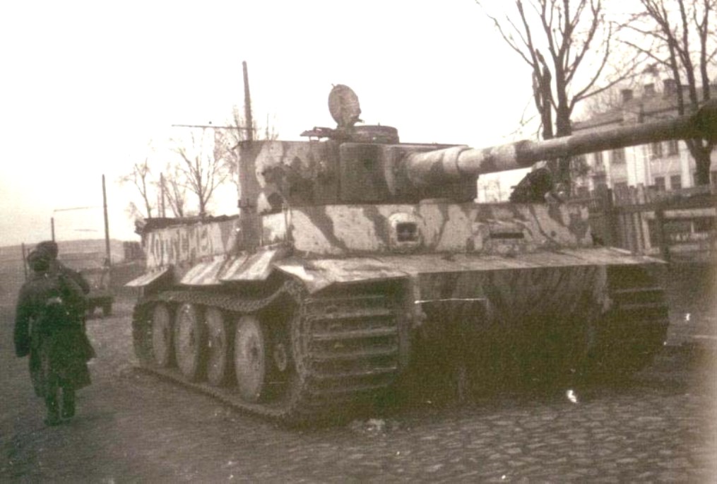 нем тигр 010601