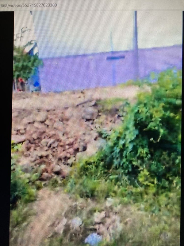 h4