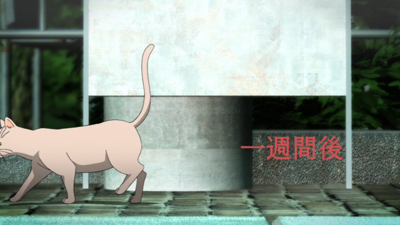 [Doki] Re-Kan! - 01 (1920x1080 Hi10P BD FLAC) [624EEAAC].0001