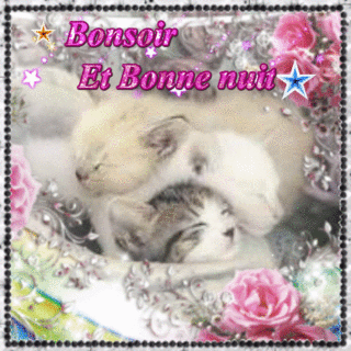 Jeudi 22 Novembre 2018... BONSOIR-BONNE-NUIT-CHATS