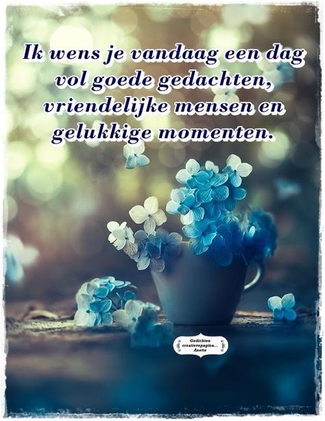 9dd91bd0a5423fd0f9b5f6153f3787a1