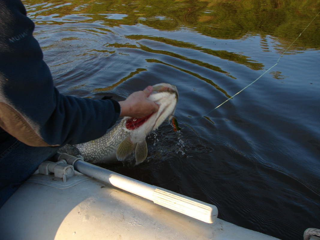 рыбу рукой брать джиг спиннинг судак щука мастер-класс Куляпин Андрей катушка приманка (3)