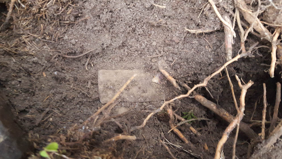 20151004_134343 – kopio