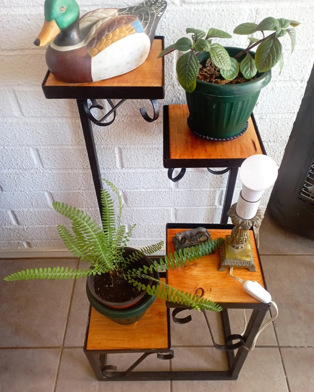 Estante de 4 niveles en un ambiente cálido con plantas y decoración.