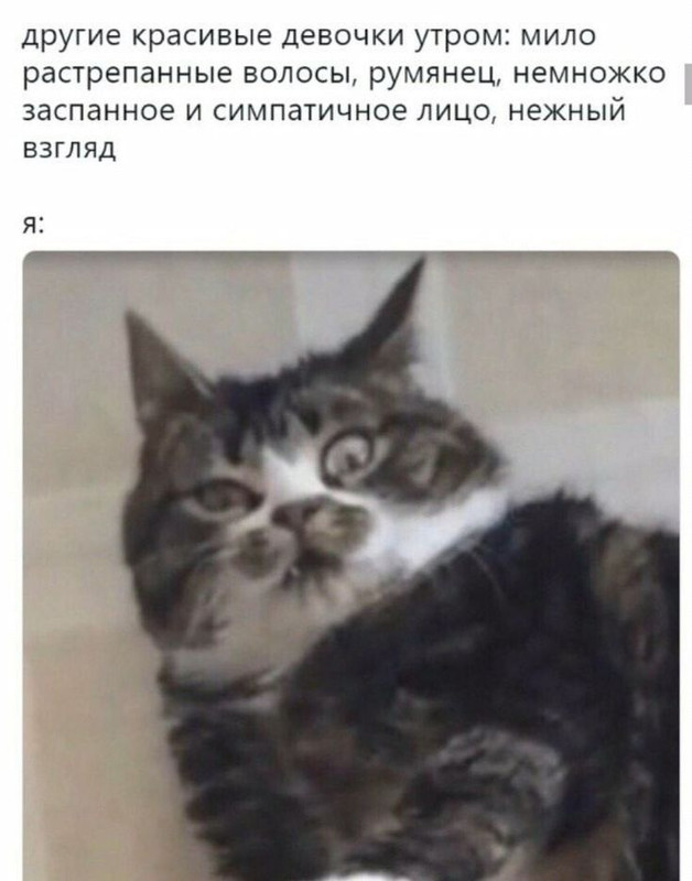 6ccbdbdd1da2fe2f7132a7d83091ba28.jpg