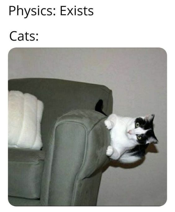 catphysics827a72599f3ff0108c7c970e630fd626.jpg