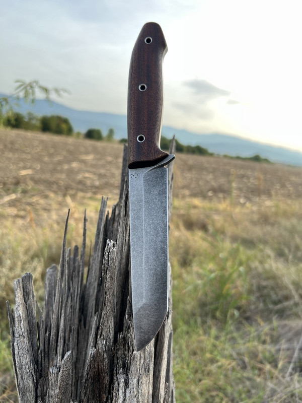 A0FDF13B-D0B6-4519-BC6C-27EBB3A5D9BE