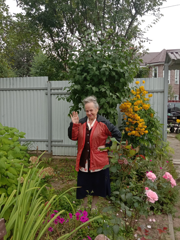 Подмосковье 1