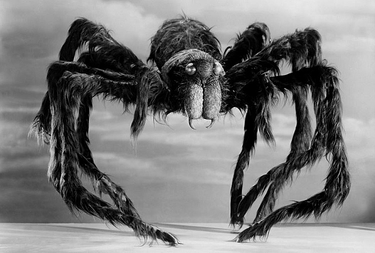 MARA-CORDAY-TARANTULA-4-FOTOR.jpg