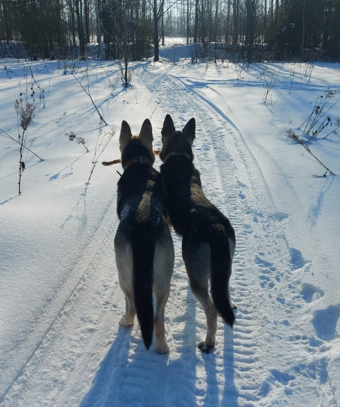 Tm41oFM2B46lRqKNprPqpee8JGIi4pSGywkU-H5JWqU0QvCVqPMHO-sHgYN1UYq_tJJmGNyUScinn5Q0_xXSYbMl