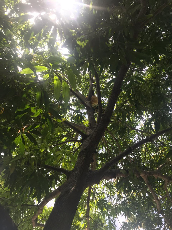 8CA5BB2D-E4D5-4FC5-A168-DCCA6A2EE443