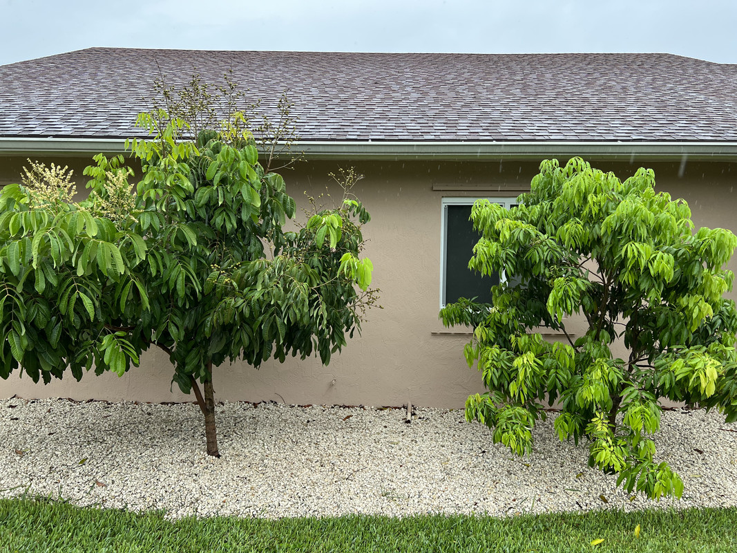 6475FB2D-7470-4E89-A7B4-AAE63B4D7E39