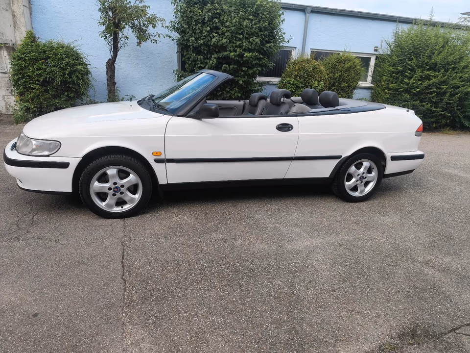 witte saab 2