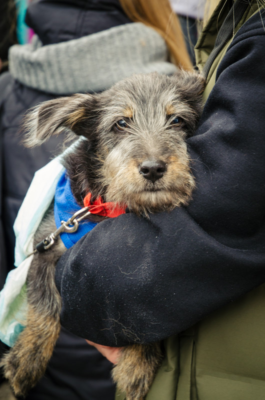 E0F1044D-88E0-4DAF-8312-66D5C614D725